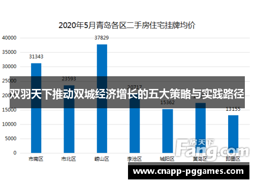 双羽天下推动双城经济增长的五大策略与实践路径