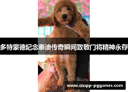 多特蒙德纪念泰迪传奇瞬间致敬门将精神永存
