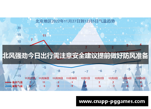 北风强劲今日出行需注意安全建议提前做好防风准备