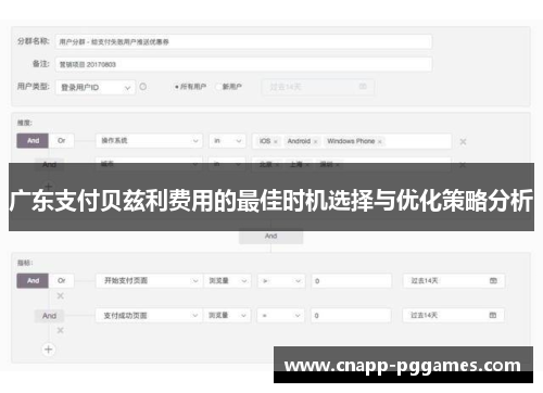 广东支付贝兹利费用的最佳时机选择与优化策略分析