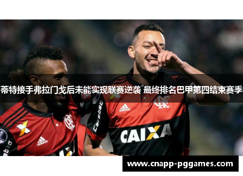 蒂特接手弗拉门戈后未能实现联赛逆袭 最终排名巴甲第四结束赛季