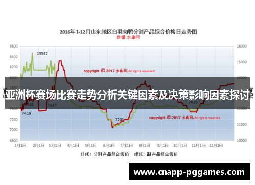 亚洲杯赛场比赛走势分析关键因素及决策影响因素探讨